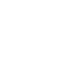 MiniGO